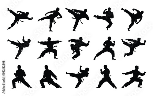 Martial arts silhouettes various kicking and punching poses black icons on white background karate and taekwondo movements