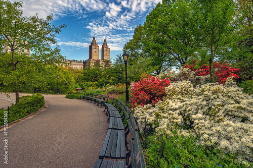 Central Park, New York City at the lake  in spring
