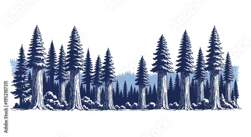 Majestic Redwood Forest Landscape Illustration