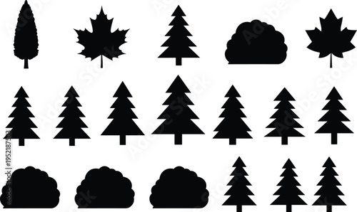 Collection of Black Tree and Leaf Silhouettes Including Pine Maple and Bush Shapes Isolated on White 