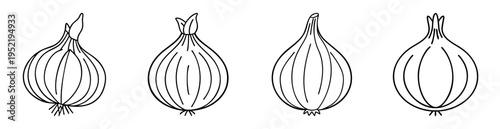 Outlined Drawings of Different Types of Onions with Varying Tops