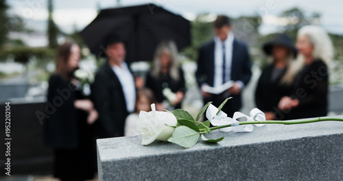 Fotografie People, tombstone and rose in cemetery with funeral, remembrance and burial ceremony for final goodbye