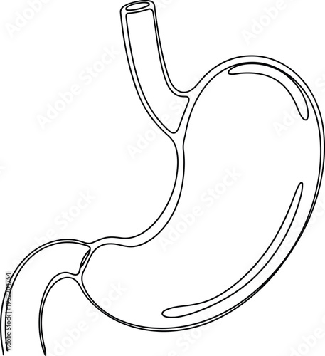 A line drawing of a stomach and intestines