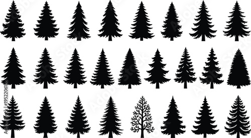 Collection of pine tree silhouettes spruce and fir evergreen forest elements isolated on white background for winter and nature design