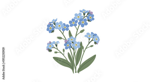 A bouquet of blue forget-me-not flowers.