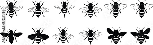 Educational bee puzzle illustration, visual discrimination activity with insects, cognitive development exercise, attention to detail learning resource