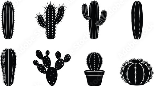 Cactus plant collection set with different desert species and succulent shapes cad drawing flat vector illustration isolated on white background