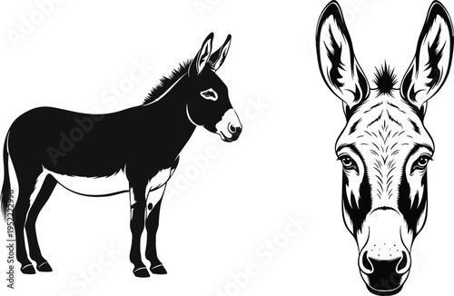 Donkey animal silhouette and head portrait set isolated cad drawing flat vector illustration for farm life nature wildlife and livestock design