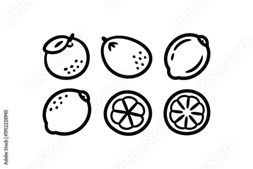 Lemon icon set with various citrus fruits and slices