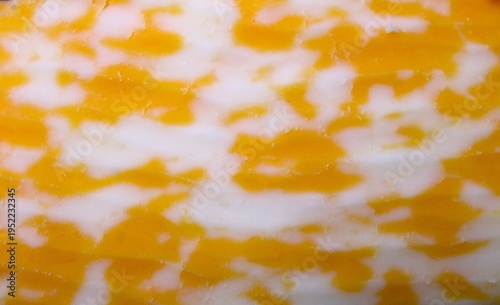 closeup of Colby jack cheese