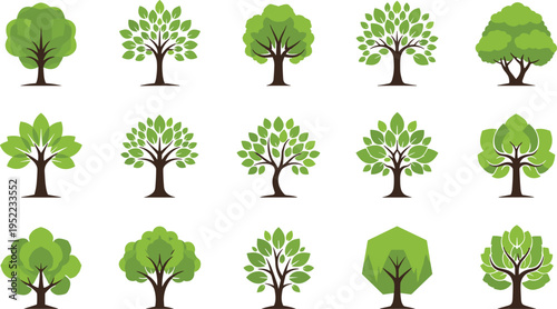 Large Vector Collection of Individual Deciduous and Coniferous Trees Featuring Pine Spruce Oak and Various Potted Houseplants for Nature and Landscape Design