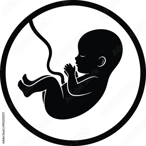 Human fetus silhouette inside womb with umbilical cord, pregnancy concept illustration, prenatal baby development symbol, motherhood medical vector design