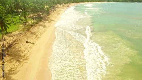 Majestic Aerial view of  beautiful beach with views of ocean waves and water crashing on to sandy beach from top angle, with greenery on the side. 
