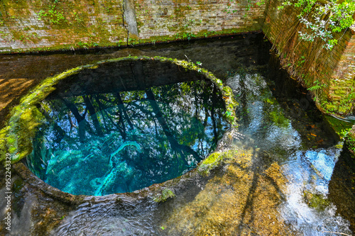Wallpaper Mural 日本静岡県三島の柿田川湧水郡 Torontodigital.ca