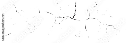 Black cracks silhouette pattern on white background