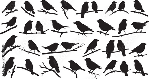 perched birds on branches minimalist black silhouette vector illustration
