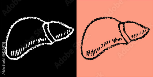 Human liver chalk drawing vector for anatomy lessons. Ideal for symbolizing vintage internal biology studies, chalkboard health, and organ science.