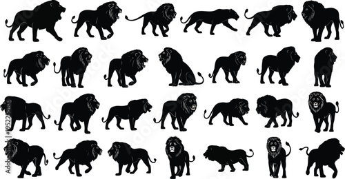 Male lion graphic illustrations featuring powerful roaring poses