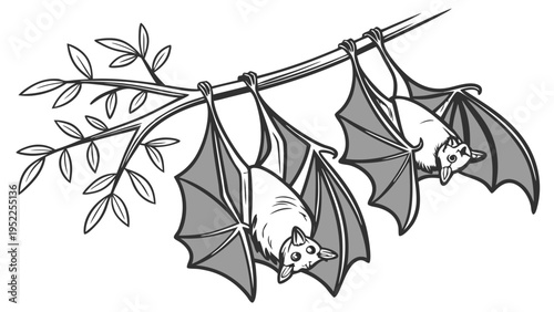 Two Bats Hanging Upside Down from Tree Branch Wildlife Illustration for Halloween Ecology Design Projects