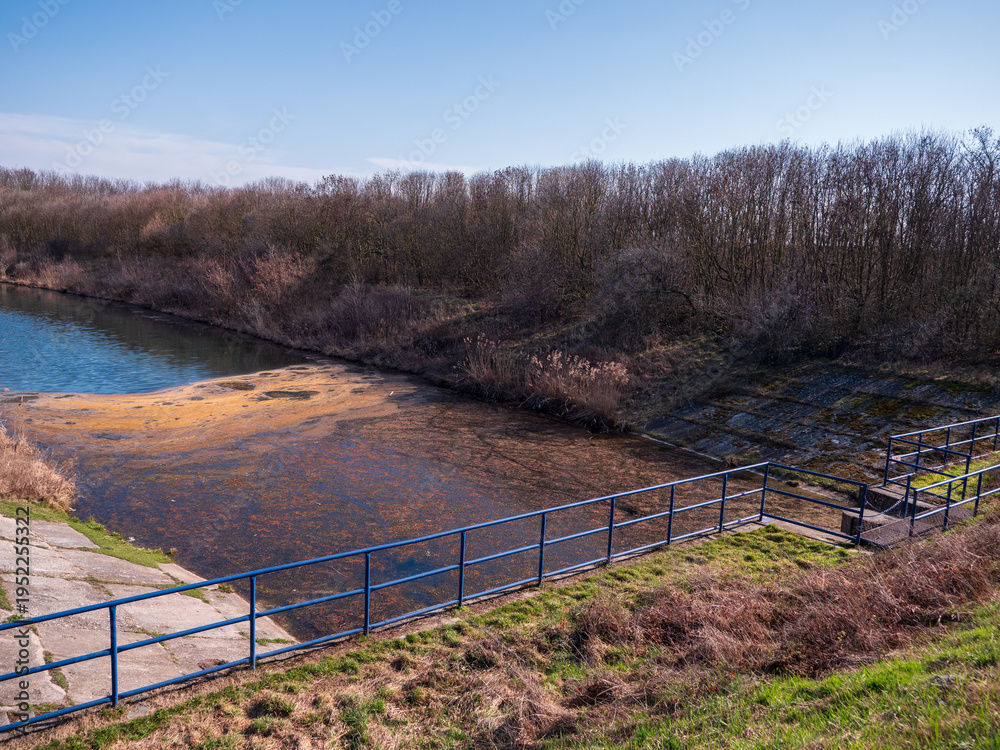 Fototapeta premium Danube canal near Čilistov and Samorin, Slovakia, polluted water surface with algae, riverbank with railing and trees, environmental problem in natural landscape.