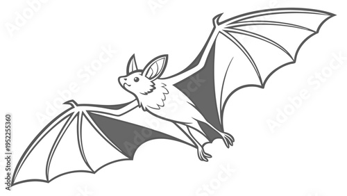 Black and White Outline Drawing of a Bat Flying with Wide Wings Spread for Halloween or Nature Themed Design Projects