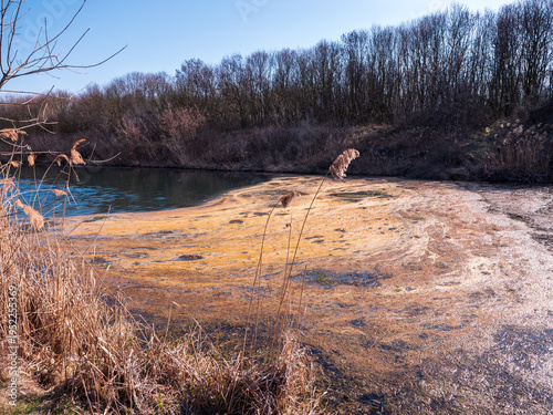 Fotografie Danube canal near Čilistov and Samorin, Slovakia, water surface covered with algae bloom, natural river landscape showing pollution and environmental impact