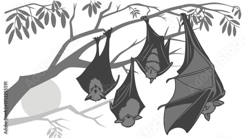 Four Fruit Bats Hanging Upside Down from Tree Branch at Dusk for Wildlife Education or Halloween Design Projects