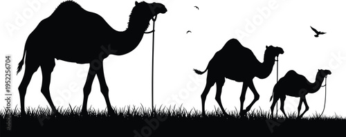  Flat vector illustration of camel caravan silhouettes walking in line, desert travel scene with birds flying, migration journey concept art