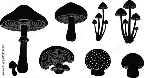  Flat vector illustration of mushroom silhouettes, various fungi species, black shapes, nature design elements, botanical art, forest fungus collection
