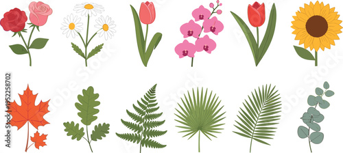 Comprehensive Vector Collection of Individual Spring Flowers and Green Leaves Featuring Roses Tulips Daisies Orchids Sunflowers and Maple Leaves for Botanical Design