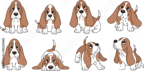 Basset Hound Dog Illustration Set with Tricolor Hounds in Various Poses and Head Studies for Pet Care Branding Animal Breeding and Canine Character Vector Graphics
