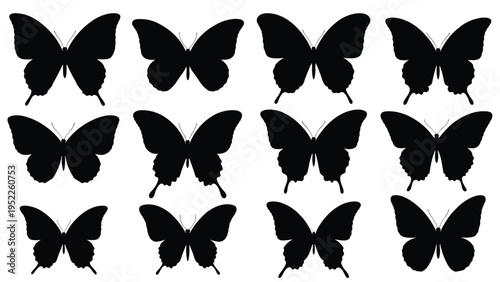 Butterfly silhouettes set, black insect shapes, elegant wing designs, nature vector collection for tattoo, craft, decoration, logo, pattern, and branding use