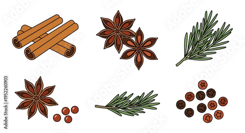 collection of cinnamon sticks star anise and rosemary sprigs