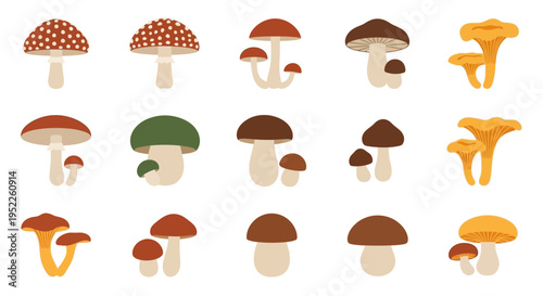 Diverse collection of colorful mushroom illustrations