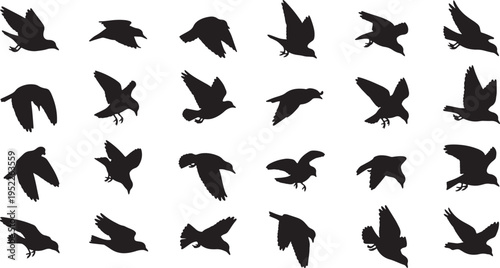 flock of birds flying and diving silhouettes vector illustration