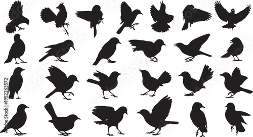 flock of diverse bird silhouettes flying and perching vector illustration