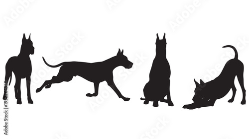 Great Dane Dog Silhouette Set in Various Poses, Isolated on White Vector