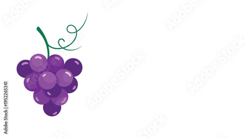 Vector illustration of a bunch of ripe purple grapes with a green stem and a curly vine detail on a simple white background.