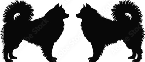  Pomeranian dog silhouette vector illustration, fluffy spitz puppy pet outlines standing face to face, black animal icons isolated on a white background.