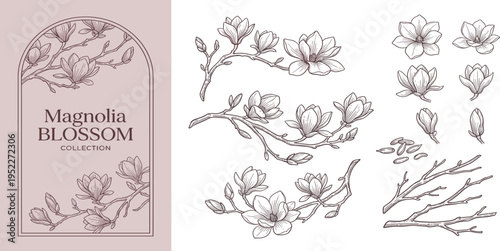 Rustic Woodland Frames and Nature-Inspired Monograms for Elegant Design Projects