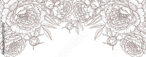 Graceful blossoming peonies adorn this delicate line art border, intertwining nature's beauty with sophisticated decorative artistry for refined designs