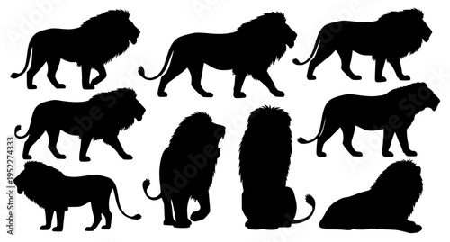 Lion Silhouette Set Wild Animal Big Cat Vector Collection