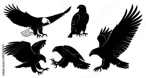 Eagle Silhouette Set Flying Bird Of Prey Vector Collection