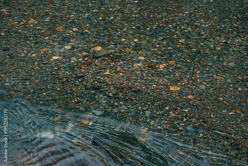 Clear river water flowing over colorful pebbles in natural stream