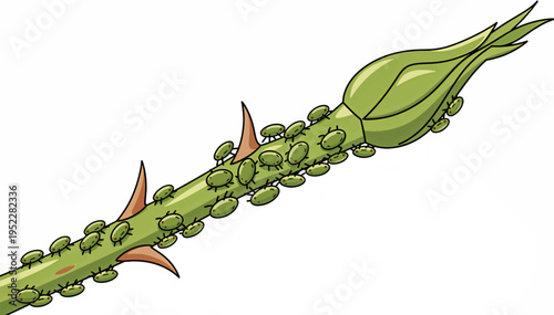 Green aphids on a rose stem and bud. Pest infestation vector illustration. Cartoon style garden insect graphic isolated on white