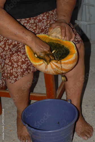 Removing pumpkin seeds into container