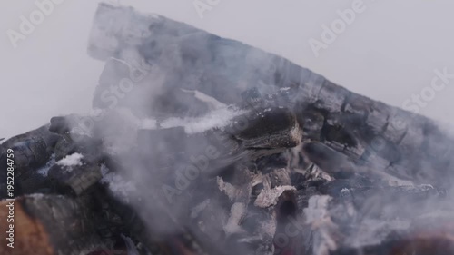 Wallpaper Mural Close-up of charred firewood and drifting smoke after a winter campfire burns down. Blackened logs, pale ash and faint embers remain inside the snowy fire pit. High quality 4k footage Torontodigital.ca