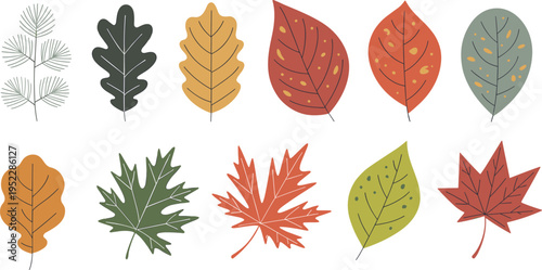 Colorful autumn leaves in various shapes and colors arranged in a grid pattern nature fall