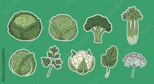 Collection of hand drawn green vegetable stickers including cabbage broccoli cauliflower and celery on a green base.
