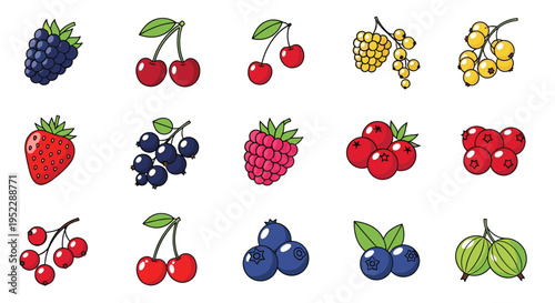 Detailed collection of fifteen various berries and small fruits including blackberry, cherry, strawberry, raspberry, and currant.
